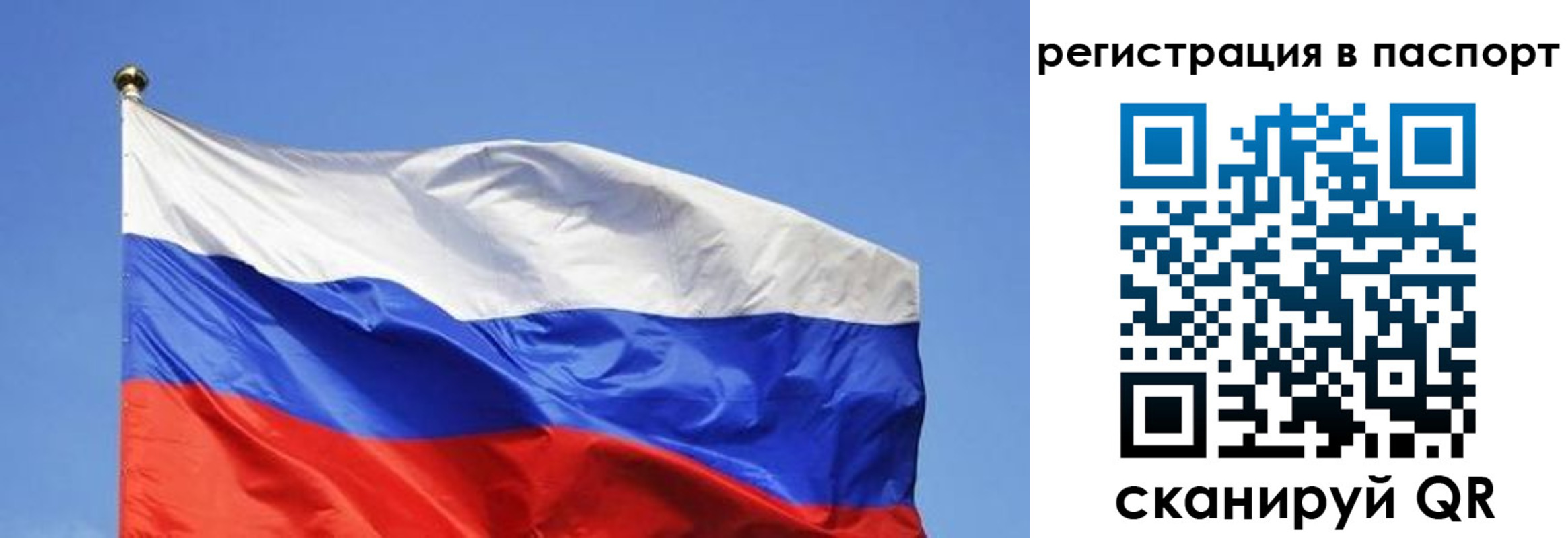 прописка в квартире в Нововоронеже